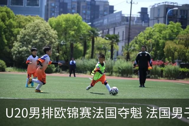 U20男排欧锦赛法国夺魁 法国男子排球赛季大满贯